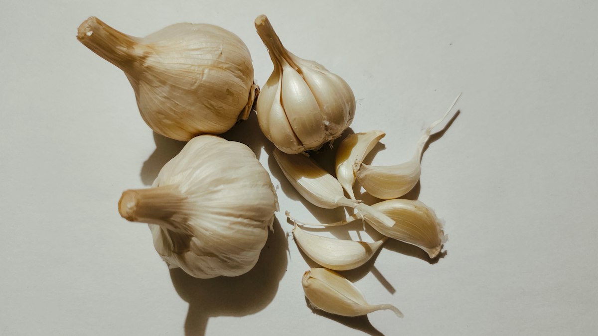 Olej neem naturalne działanie na pasożyty